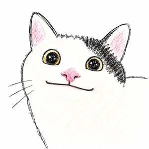 Sloppy Doodle Cat Portrait — Create an ultra-minimal, charmingly clumsy hand-drawn doodle of a cute {argument name="animal" default="white cat"} on a clean pure