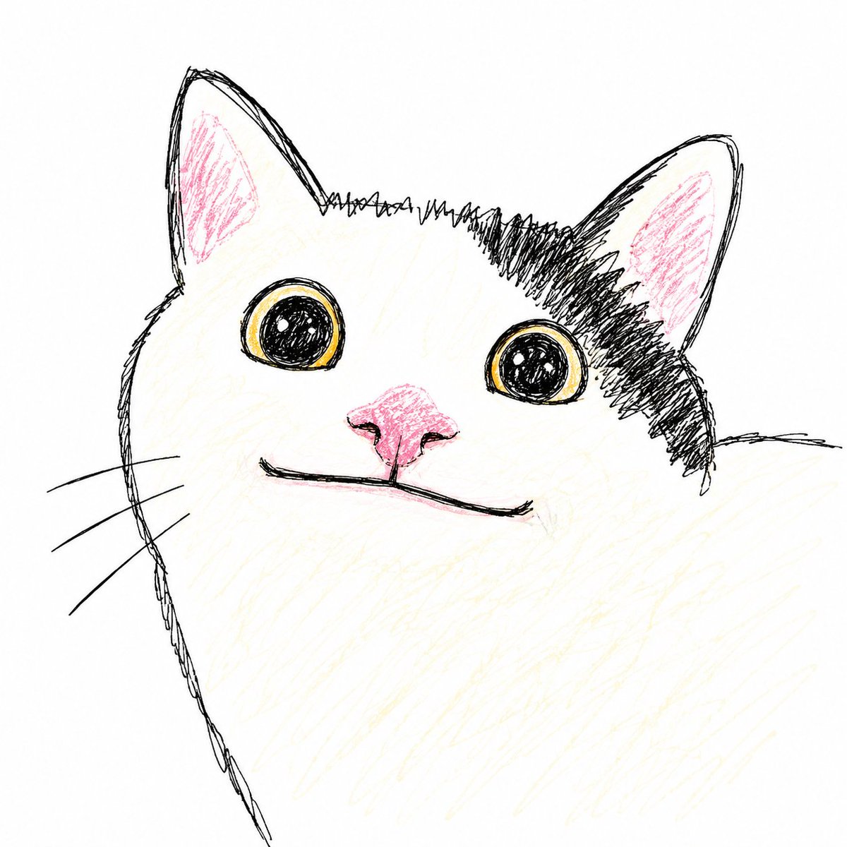 Sloppy Doodle Cat Portrait