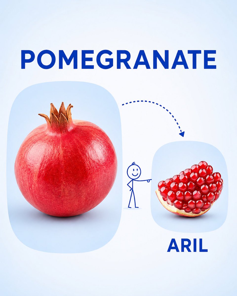 Infographic / Edu Visual - Preschool Educational Vocabulary Card - Image 2
