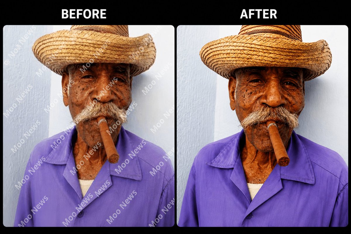 Object and Watermark Removal Instruction