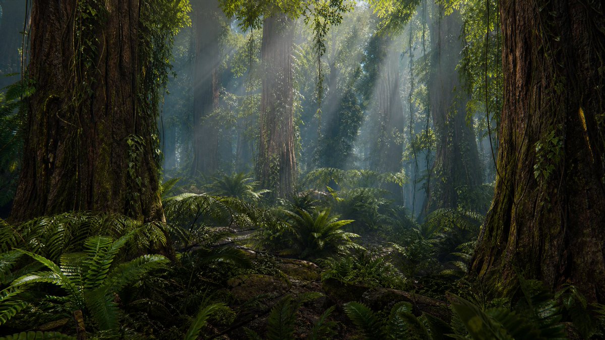 Prehistoric Redwood Jungle