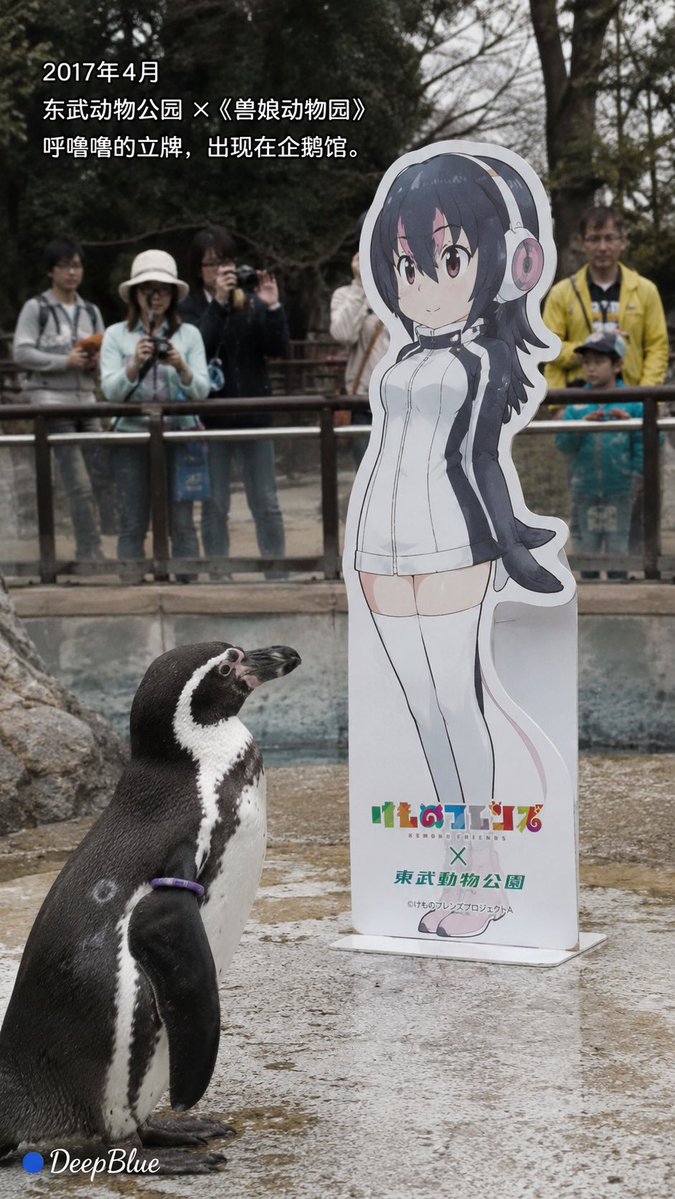 Documentary Photo Series of Grape-kun