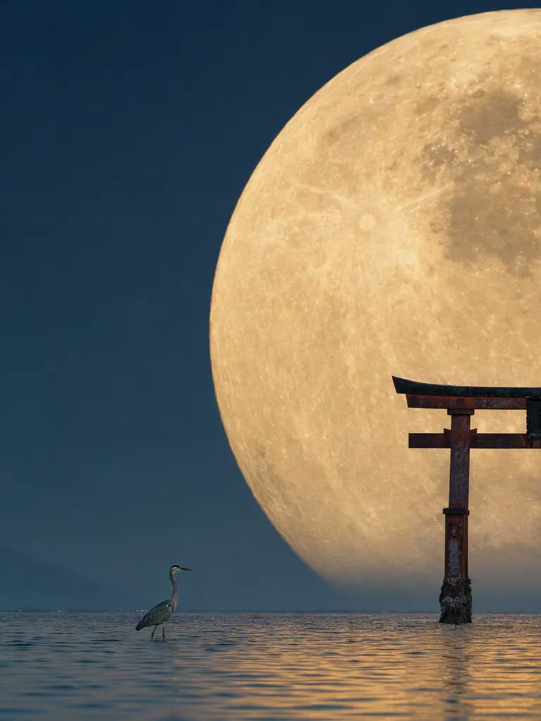 Telephoto Moon and Torii Gate Photography