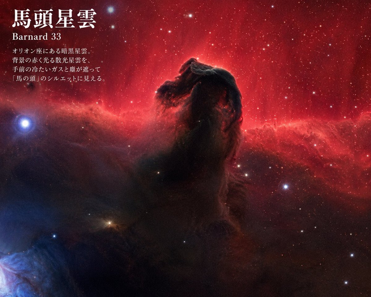 Horsehead Nebula Poster