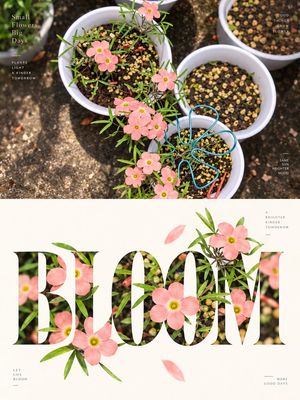 Experimental Typography Editorial Poster — 请将我上传的每一张照片分别制作成一张独立的高级设计海报，不多图拼接，每张照片单独输出。整体采用 {argument name="构图比例" default="3:4"} 竖版构图，上下两个区域高度严格 1:1，各占画面 50%。

上