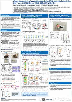 参考效果：Research Paper Academic Poster