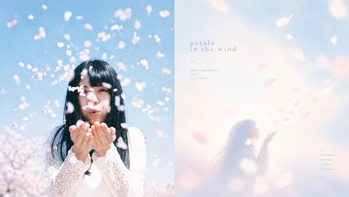 Social Media Post - Soft-Focus Diptych of a Quiet Writing Moment - Image 2