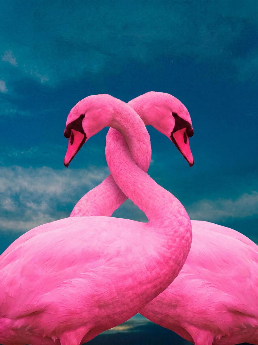 Prompt: A surreal, hyper-realistic photo manipulat