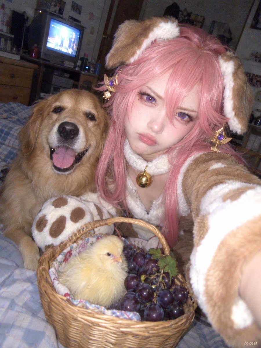 Publicación en redes sociales - Cosplay de perro estilo selfie con Nokia antiguo - Image 1