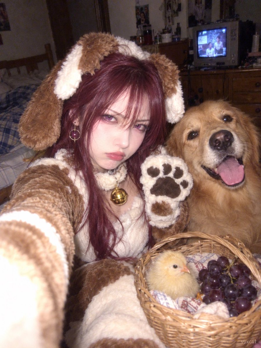 Publicación en redes sociales - Cosplay de perro estilo selfie con Nokia antiguo - Image 3