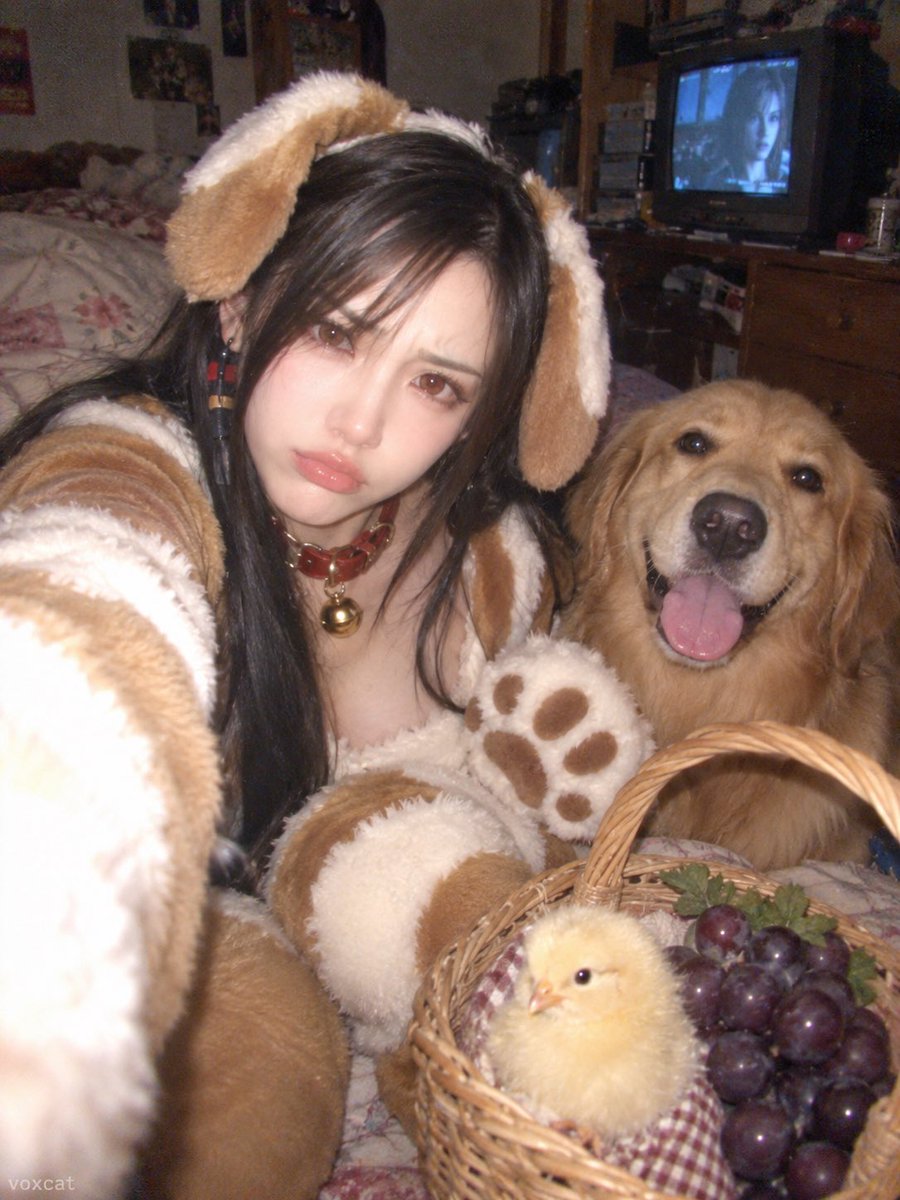Publicación en redes sociales - Cosplay de perro estilo selfie con Nokia antiguo - Image 4